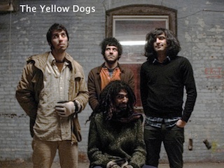 سگ های زرد