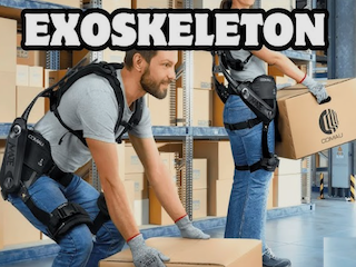 اسکلت بیرونی اسکلت بیرونی