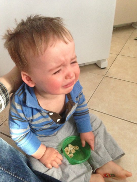 I closed the refrigerator door.
