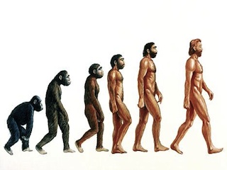 تکامل