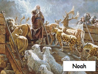 نوح