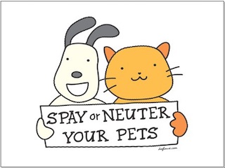  عقیم کردن حیوانات 	