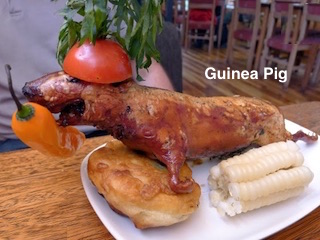 خوکچه هندی پخته