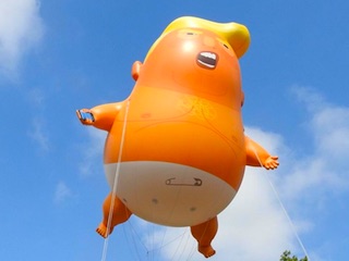 نی نی ترامپ