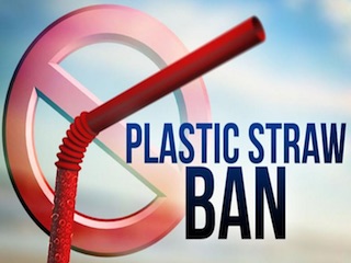 منع نی پلاستیکی