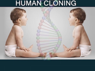 شبیه سازی انسان