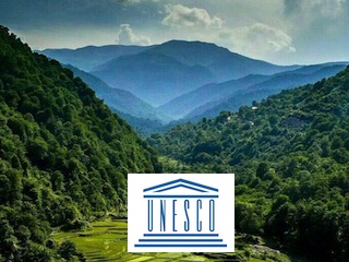 جنگل هیرکانی