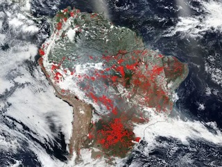 آتش سوزی آمازون