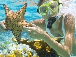 غواصی روی آب