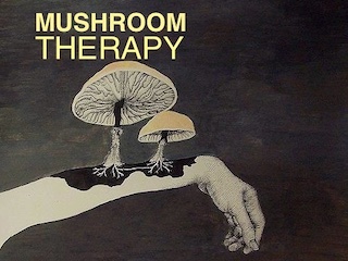 قارچ درمانی