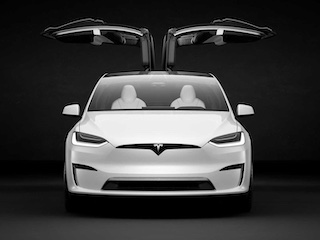 در بال شاهین