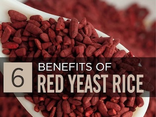 مخمر برنج قرمز