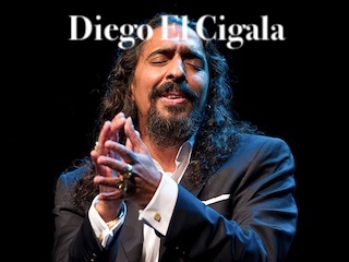 دیگو السیگالا