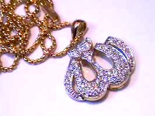 گردنبند الله