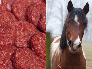 گوشت اسب