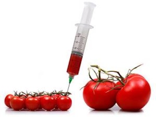 محصولات ژنتیکی