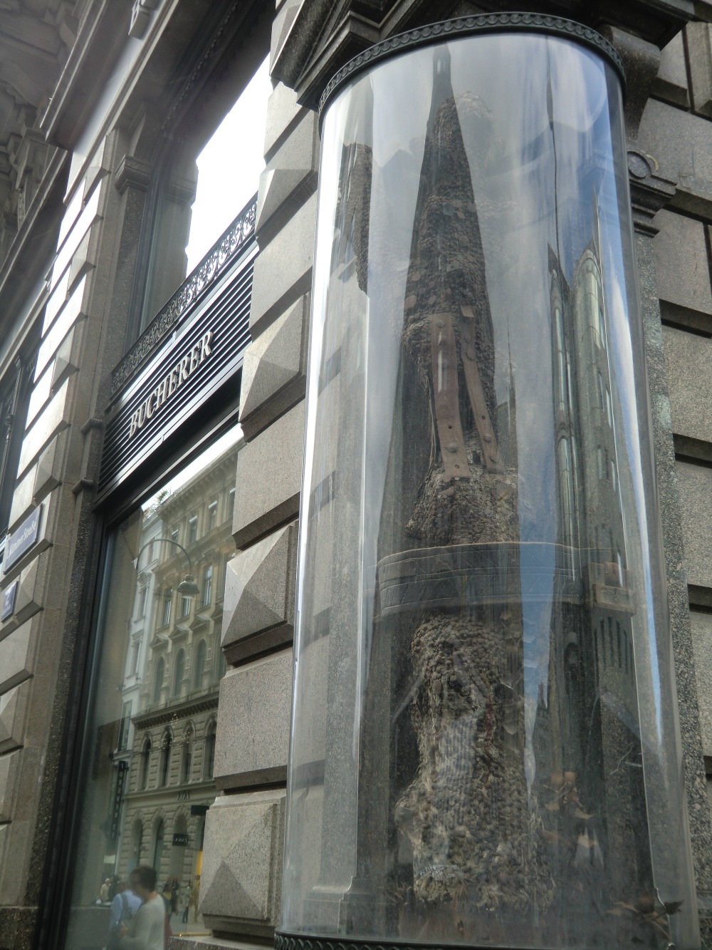 درخت هزار ساله